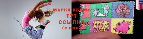 шишки Беломорск