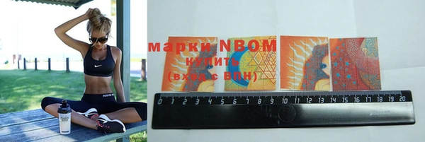 шишки Беломорск