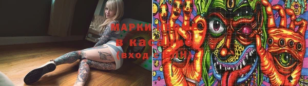шишки Беломорск